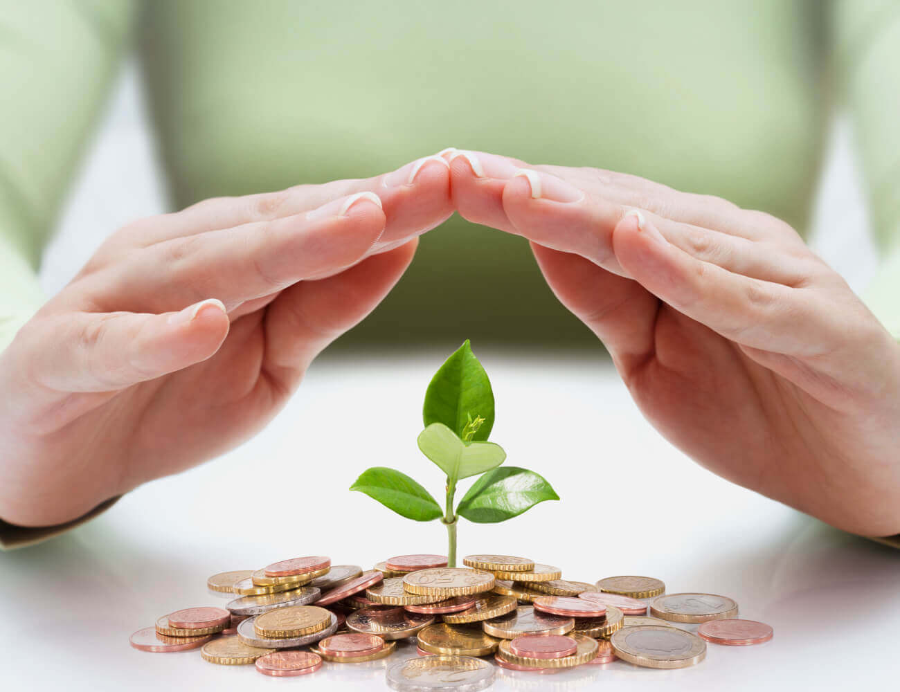 Eco Friendly Business Seminar
